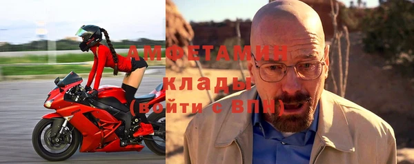 прущие грибы Аркадак