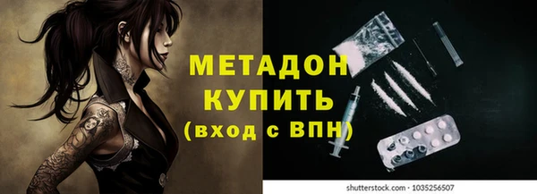 прущие грибы Аркадак