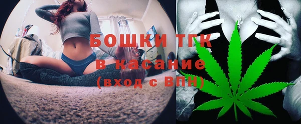 твердый Арсеньев